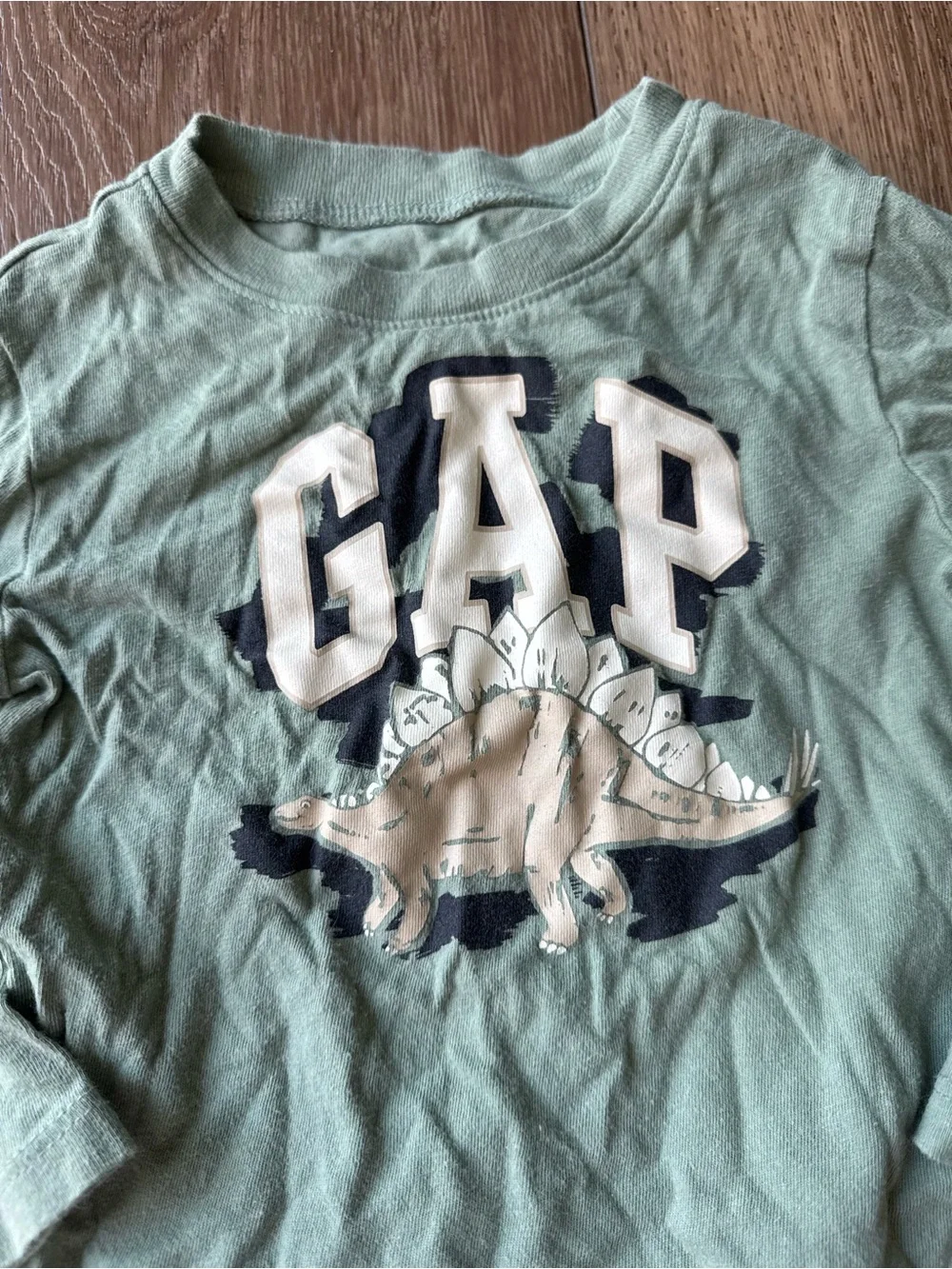 GAP Soft Sage Long-Sleeve Dino Applique Tee